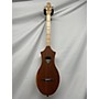 Used Seagull Used Seagull M4 MAHOGANY Mahogany Dulcimer Mahogany