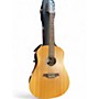 Used Seagull Walnut 12 ISYST Natural 12 String Acoustic Electric Guitar Natural