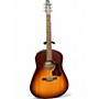 Used Seagull entourage  autumm burst Acoustic Guitar autumm burst
