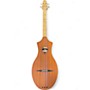 Used Seagull m4 Natural Dulcimer Natural