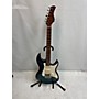 Used Sire Used  Sire LARRY CARLTON S7 Trans Blue Trans Blue