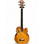 Used Spector TIMBRE Natural Acoustic Bass Guitar Natural