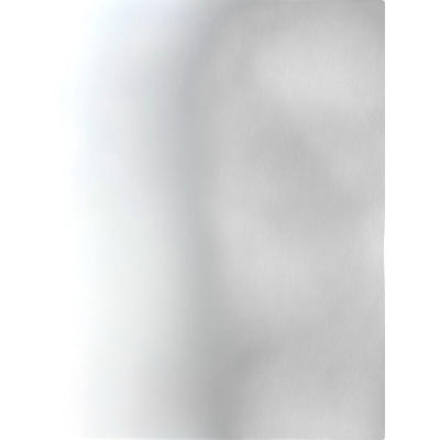 Used Steel Panther PPPM Effect Pedal