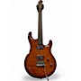 Used Sterling by Music Man LUKE FLAME MAPLE HAZEL BURST Solid Body Electric Guitar HAZEL BURST