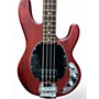 Used Sterling by Music Man SUB Series StingRay Walnut Electric Bass Guitar Walnut