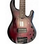 Used Sterling by Music Man Sting Ray 5 Dark Cherry Burst Electric Bass Guitar Dark Cherry Burst