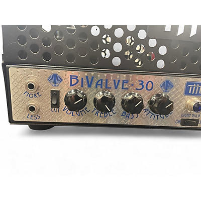 Used THD Bi-valve 30 Tube Guitar Amp Head