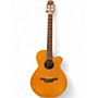 Used Takamine EAN60C Natural Classical Acoustic Guitar Natural