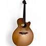 Used Takamine ean40c Natural Acoustic Guitar Natural