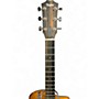 Used Taylor 214CE Plus Natural Acoustic Electric Guitar Natural