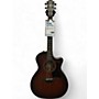 Used Taylor Used Taylor 324CE Brown Sunburst Acoustic Electric Guitar Brown Sunburst