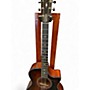 Used Taylor 324CE Walnut Burst Acoustic Electric Guitar Walnut Burst
