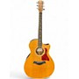 Used Taylor 414CE Mahogany Acoustic Electric Guitar Mahogany