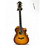 Used Taylor  614-CE 2 Color Sunburst Acoustic Electric Guitar 2 Color Sunburst