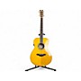 Used Taylor 614CE Maple Acoustic Electric Guitar Maple