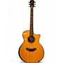 Used Taylor 914ce LTD Natural Acoustic Guitar Natural