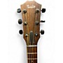 Used Taylor AD12e 2 Tone Sunburst Acoustic Electric Guitar 2 Tone Sunburst