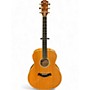Used Taylor Big Maple Leaf Natural Acoustic Guitar Natural