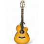 Used Taylor C12CE B6026 SASSAFRAS Acoustic Electric Guitar SASSAFRAS