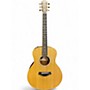 Used Taylor GS Mini-e ROSEWOOD 50TH ANNIVERSARY Natural Acoustic Electric Guitar Natural