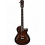 Used Taylor T5z Pro Molasses burst Acoustic Electric Guitar Molasses burst