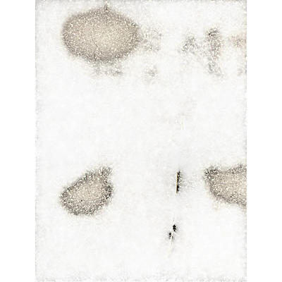 Used Tech 21 VT BASS DELUXE Bass Effect Pedal