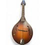 Used The Loar LM 110 2 Color Sunburst Mandolin 2 Color Sunburst