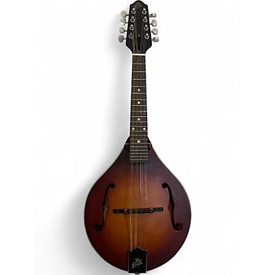 Used The Loar LM110 BOURBON BURST Mandolin