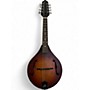 Used The Loar LM110 BOURBON BURST Mandolin BOURBON BURST