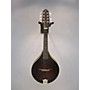 Used The Loar Used The Loar LM110 VINTAGE BROWN BURST Mandolin VINTAGE BROWN BURST