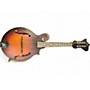 Used The Loar LM310F VINTAGE BROWN Mandolin VINTAGE BROWN