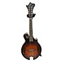 Used The Loar Used The Loar LM310FBRB Sunburst Mandolin Sunburst