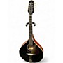 Used Trinity College TM325B Black Mandolin Black