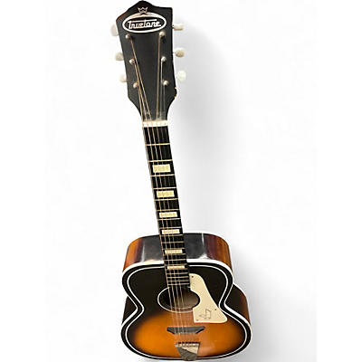 Used Truetone GUITAR 2 Color Sunburst Acoustic Guitar