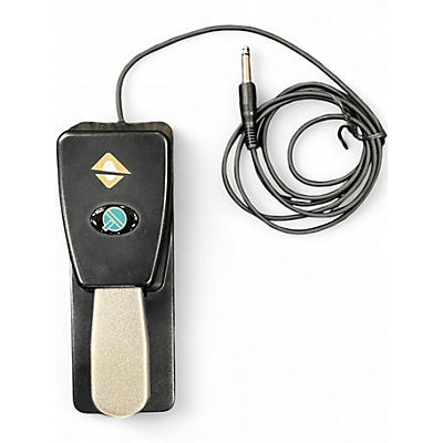 Used Unbranded Sustain Pedal