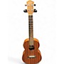 Used Ventura v9maht Mahogany Ukulele Mahogany