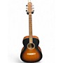 Used Walden G570TB Sunburst Acoustic Guitar Sunburst