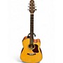 Used Walden d555ce Natural Acoustic Electric Guitar Natural