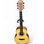 Used Washburn AGMSK Natural Acoustic Guitar Natural