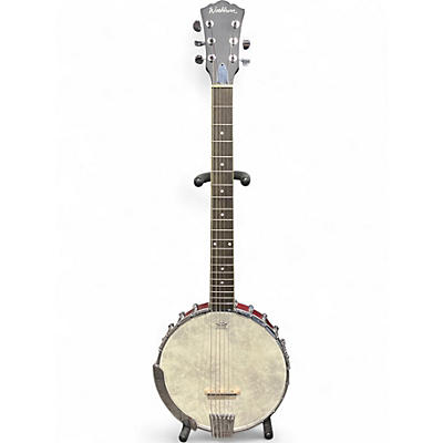 Used Washburn B-6 Natural Banjo