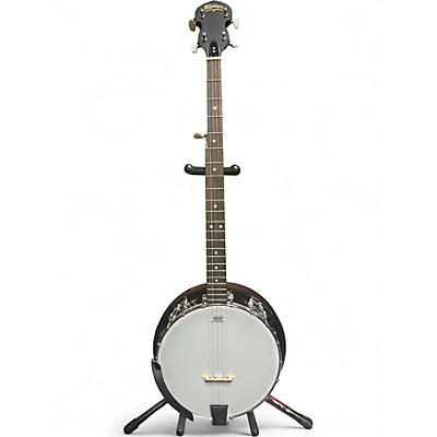 Used Washburn B-8 Natural Banjo