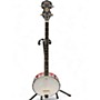 Used Washburn B7-A Mahogany Banjo Mahogany