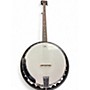 Used Washburn B9-WSH-A Natural Banjo Natural