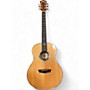 Used Washburn Used Washburn BTS24S-D Natural Acoustic Guitar Natural