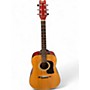Used Washburn D-10N Natural Acoustic Guitar Natural