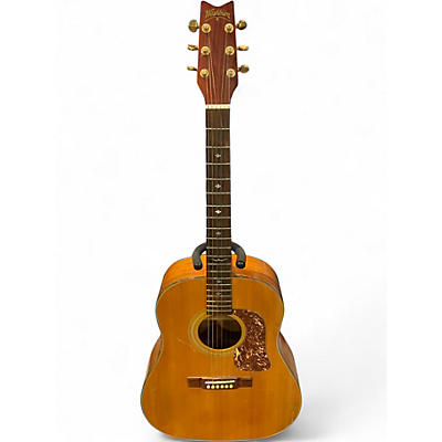 Used Washburn D-25 N Natural Acoustic Guitar