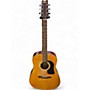 Used Washburn D10N Natural Acoustic Guitar Natural