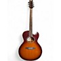 Used Washburn EA20 MTS Vintage Natural Acoustic Electric Guitar Vintage Natural