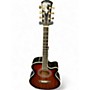Used Washburn EA55GA Tobacco Burst Acoustic Electric Guitar Tobacco Burst