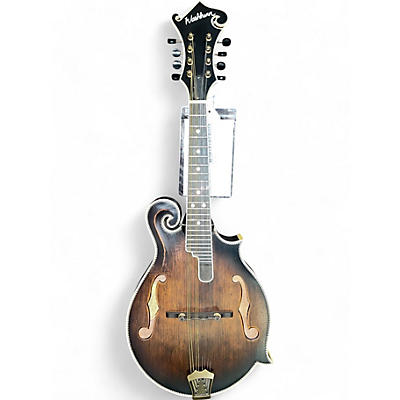 Used Washburn EM118SWK F Style Vintage Natural Mandolin